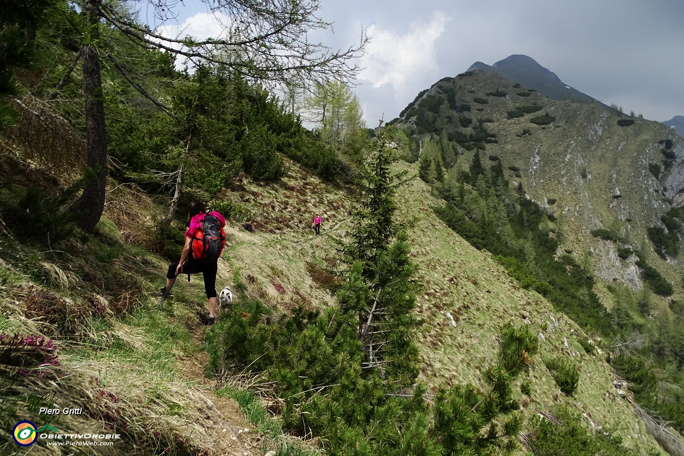 58 Un po' di sole arrivando al Monte Brate.JPG